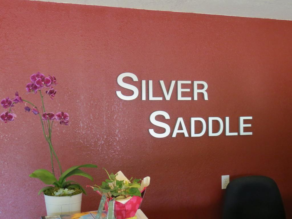 Silver Saddle Motel Manitou Springs Extérieur photo